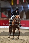 ref. photo 3503138