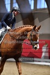 ref. photo 3503140