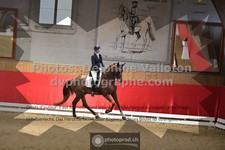 ref. photo 3503142