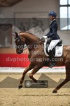 ref. photo 3503145