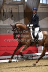 ref. photo 3503146