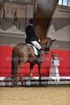 ref. photo 3503157