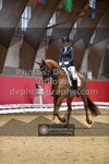 ref. photo 3503160