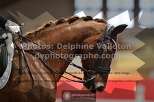 ref. photo 3503162