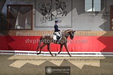 ref. photo 3503165
