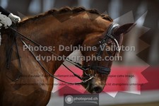 ref. photo 3503166