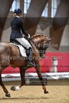 ref. photo 3503174