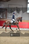 ref. photo 3503178