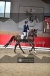ref. photo 3503179