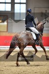 ref. photo 3503182