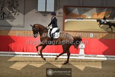 ref. photo 3503186