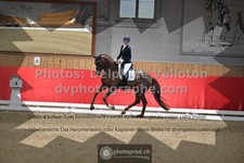 ref. photo 3503188