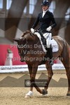 ref. photo 3503196