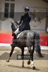 ref. photo 3503206