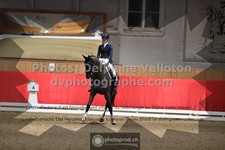 ref. photo 3503211