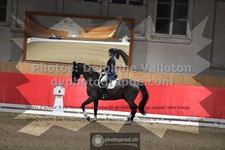 ref. photo 3503221