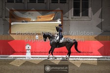 ref. photo 3503232
