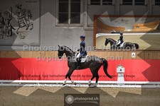 ref. photo 3503233