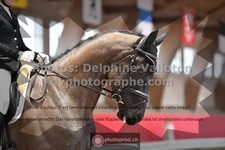 ref. photo 3503286