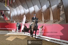ref. photo 3503290