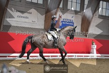 ref. photo 3503294