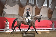 ref. photo 3503299