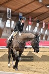 ref. photo 3503306