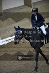 ref. photo 3503325
