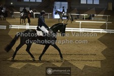 ref. photo 3503328