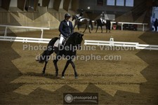 ref. photo 3503331