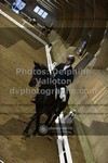 ref. photo 3503332