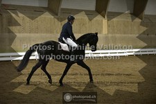 ref. photo 3503336