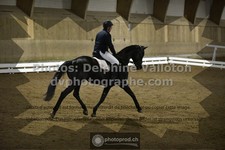 ref. photo 3503337