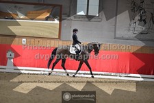 ref. photo 3503342
