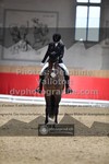 ref. photo 3503348