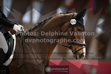ref. photo 3503357