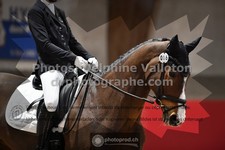 ref. photo 3503361