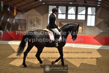 ref. photo 3503420
