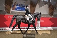 ref. photo 3503428