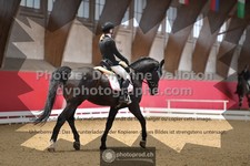 ref. photo 3503430