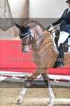 ref. photo 3503436
