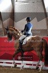 ref. photo 3503447