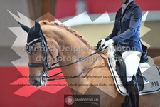 ref. photo 3503461