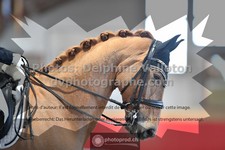 ref. photo 3503462
