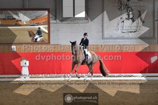 ref. photo 3503470