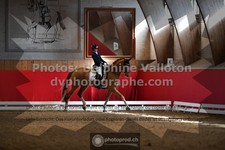 ref. photo 3503473