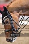 ref. photo 3503480