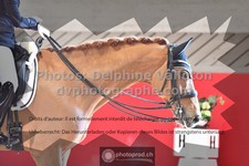 ref. photo 3503482