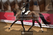 ref. photo 3503495