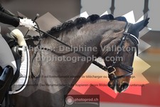 ref. photo 3503497